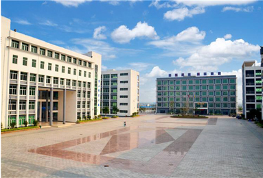 �V�ݹ��̌WԺ